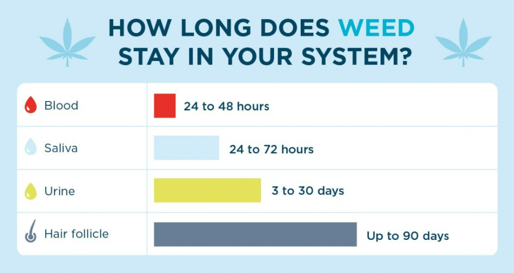 How Long Weed Stay in Your System Urine, Saliva, Hair, and Blood